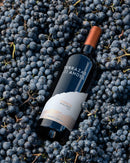 Terrazas Reserva Malbec - 750ml