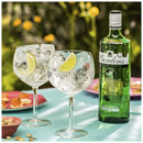 Gordons Gin Litre