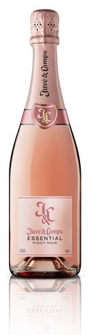 Juvé & Camps Cava Brut Rosé - 750ml